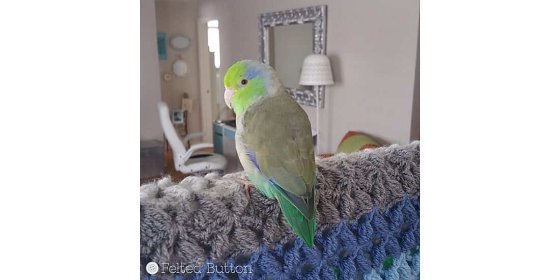Parrotlets Flight Blanket5