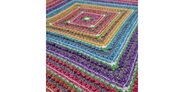 2017-02-24 Namaqualand Blanket (1)