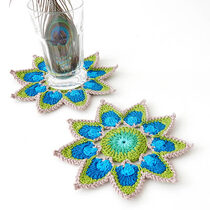 2016-01-18 Coaster Peacock Feather 1