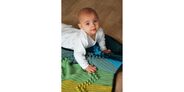 2016-01-20 Charlie Blanket 4