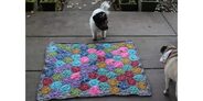 2018-09-12 Tiny Garden Blanket 2