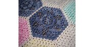 2018-06-19 Indigo Blossom Blanket 3