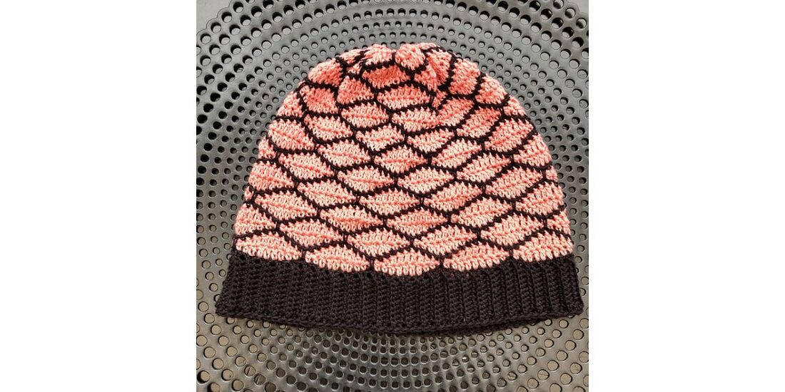 2019-09-18 Raspberry Beanie 2