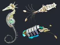 Julie - Sea creatures