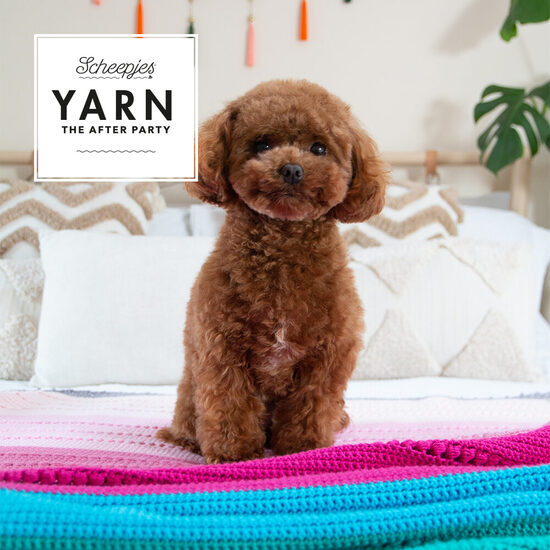 YTAP-201-Marketing-Fotografie_4