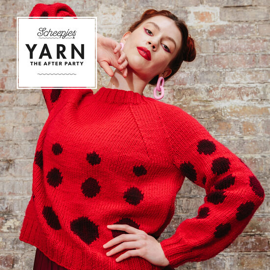 176.-Ladybird-jumper-5