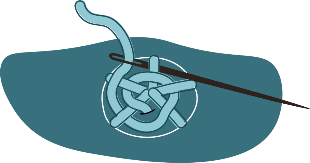Woven Wheel stitch