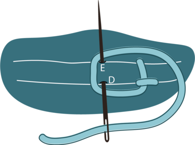 Buttonhole Stitch 1
