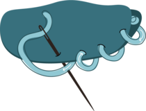 Whip stitch