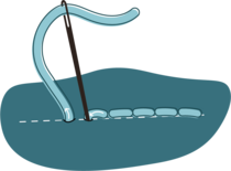 Back stitch