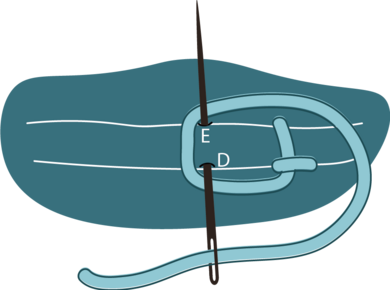 Buttonhole Stitch 1
