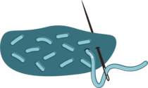 Seed stitch