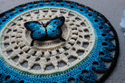 IMG-1513_medium2