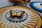IMG-1512_medium2