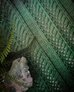 1D23DBB7-8B1A-4C79-A63A-6454D2CEACEA_medium2