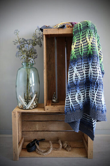 IMG_E0182_medium2 (1)