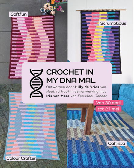MAL-DNA-Launch-Colourways NL-2