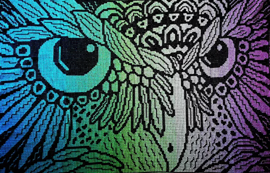 Noctua_pic_1_medium2