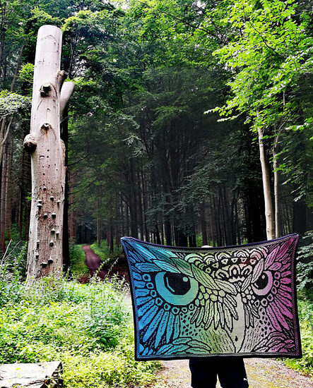 Noctua_pic_6_medium2