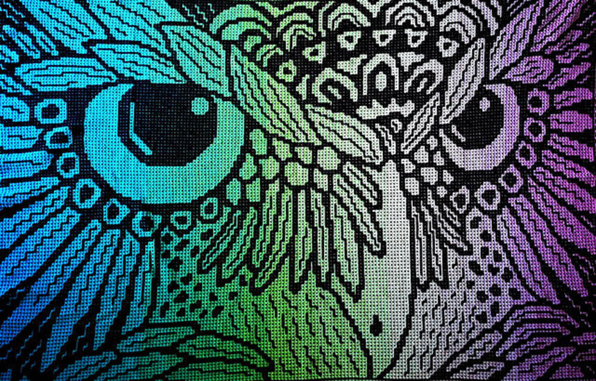 Noctua_pic_1_medium2