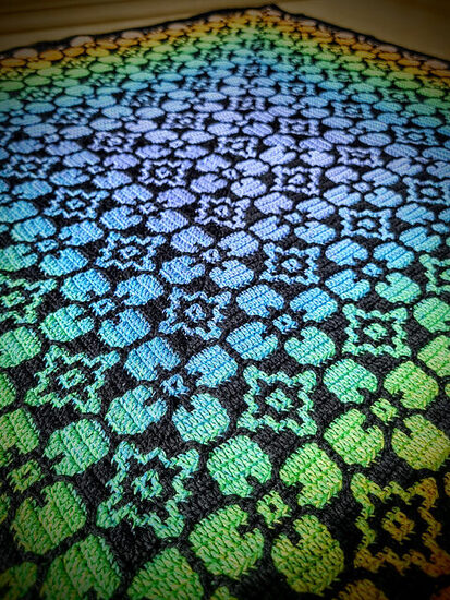 20240415_115116-EDIT_medium2