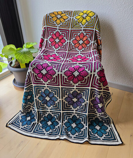 20240726_110742_medium2