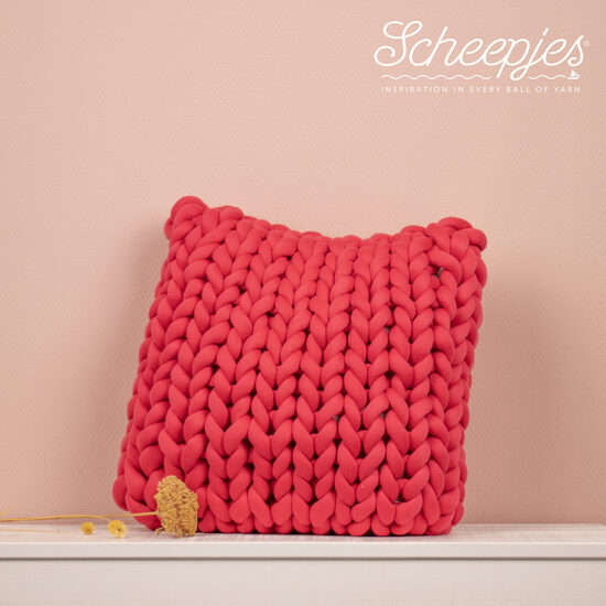 Cool Stuff Pillow_Logo