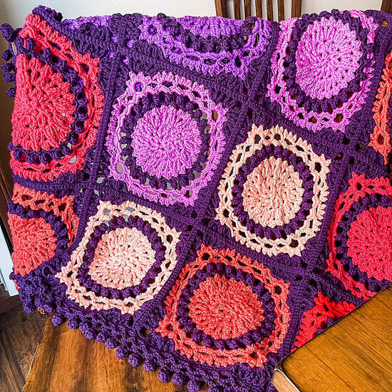 IMG_8561_jpg_medium2