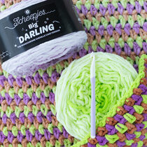 BigDarling_launch3 (1)