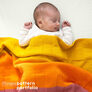 Photos PP Kindsome-3