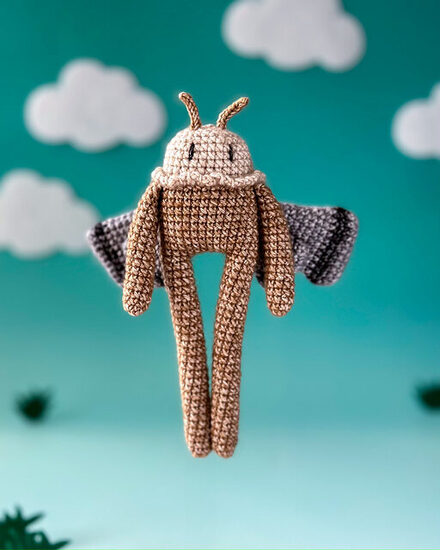 IMG_8663-compressed_medium2