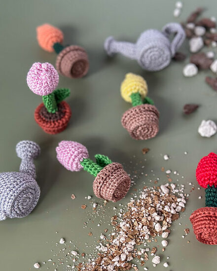 IMG_6372_jpg_medium2