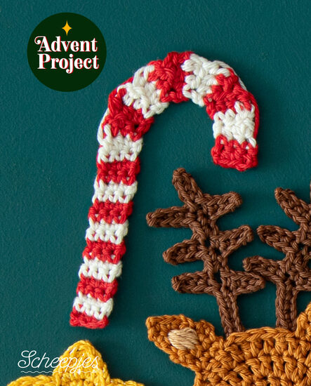 Dag 2 - Zuurstok Feed