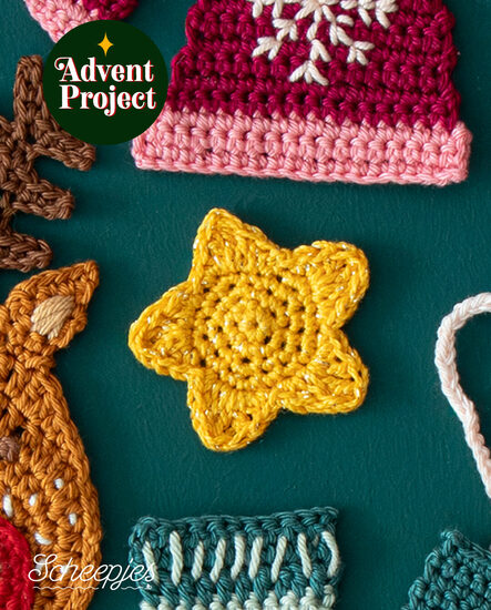 Dag 12 - Sterren Feed