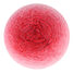 04 - Rosehip