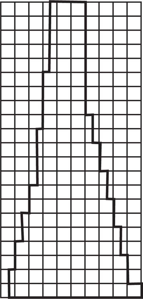 Patroon-3.1